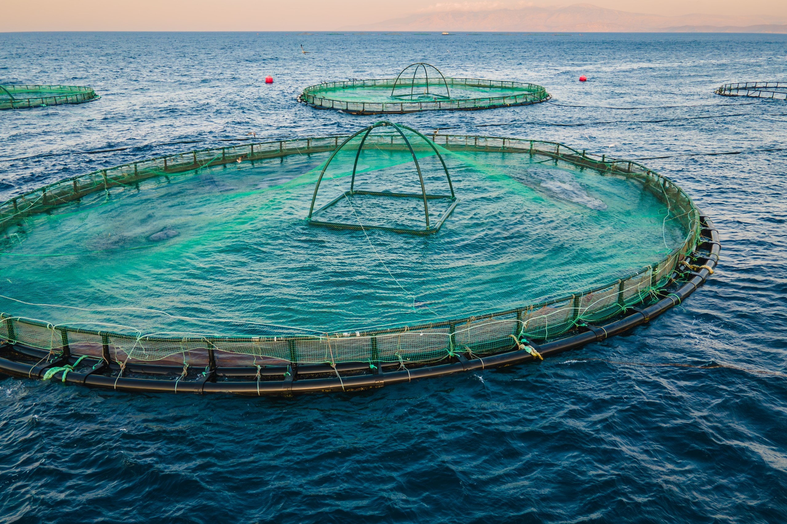soy-excellence-center-sec-s-80th-aquaculture-program-on-management-of