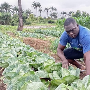 Profile photo of JUWON