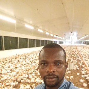 Profile photo of Omobowale