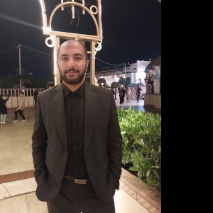 Profile photo of Walid Tawfek Elsherbeny