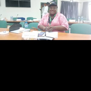 Profile photo of Olaiya Oluseyi