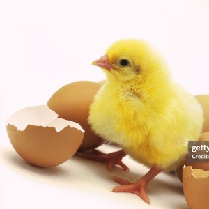 Profile photo of DR CHANDAN PATIL