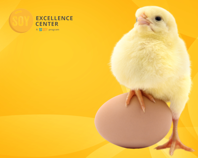 View life as a continuous learning experience