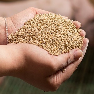 Group logo of Feed Milling